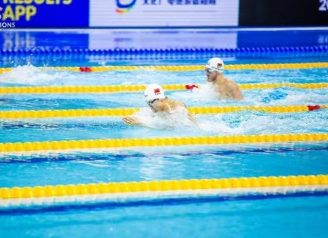 2020年FINA冠軍游泳系列賽(深圳站)