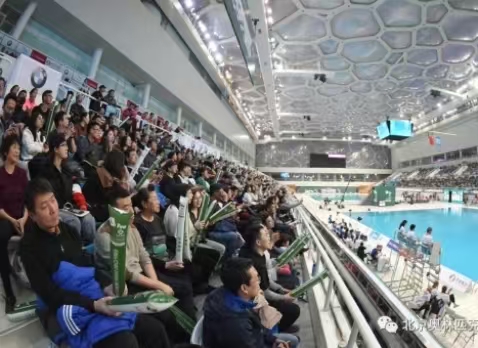 世界跳水系列賽(青島站)